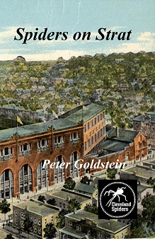 Spiders on Strat Spiders on Strat